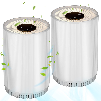 家用静音净化器 2件套
